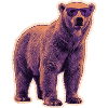 Summer Polar Bear Sunglasses