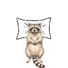 Raccoon Sleep Shirt