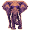Summer Elephant Sunglasses