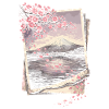 Cherry Blossom Sakura Cherry Blossom