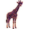 Cool Giraffe Sunglasses