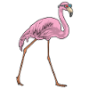Flamingo Sunglasses
