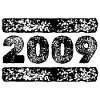 Year 2009