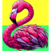 Flamant