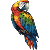 Macaw's Era