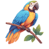 Macaw's Era