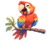 Macaw's Era