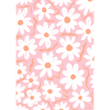 Pink Daisies