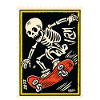 Skeleton Skater on Skateboard