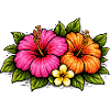 Tropical Hibiscus Flowers