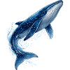 Blue whale illustration in jump