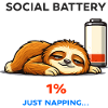 Social Battery 1% Just Napping