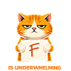 Underwhelming Cat Performance