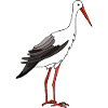 Stork bird
