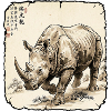 Nashorn Asiatisch Rhinozeros