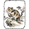 Hamster Art Asian