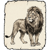 Lion Africa Reggae