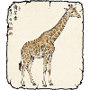 Giraffe Antik Kunst