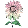 Fleur