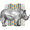 rhinoceros