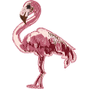 pinker Flamingo 