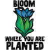 Bloom Where You Are Planted