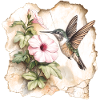 Colibri avec fleur