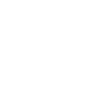 Fleischer