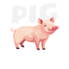 Pig Whisperer Funny Farmer Farmer