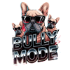 Bully Fashion French Bulldog Cool Bully