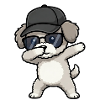 Dab du Caniche Miniature