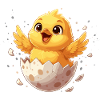 Poussins de l’œuf – Bon départ