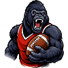 Gorilla with football jersey