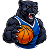 Panther with basketball motif