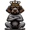 German Wirehaired German Wirehaired Owner