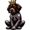 German Wirehaired German Wirehaired Owner