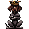 German Wirehaired German Wirehaired Owner