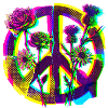 Peace Flowers Peace Demo