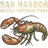 Bar Harbor, Parco Nazionale di Acadia – Visita Aca