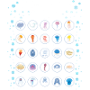 Guide To Jellyfish Scientific Biology