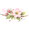 Apple blossom branch with graffiti accents