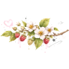Raspberry branch with flowers graffiti style