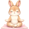 Meditating Bunny in Yoga Description