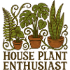 Passionné de plantes d’intérieur