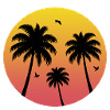 Sunset Palm Tree Beach