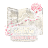Cherry Blossom Sakura Cherry Blossom