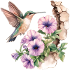 Hummingbird