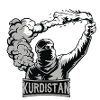 Kurdistan torch