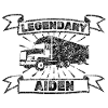 Brummi Aiden