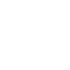 Boxing Gloves Icon